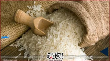 استضافة مصر.. منتدى الأرز الأفريقي ينطلق لتعزيز الاقتصاد والتكنولوجيا